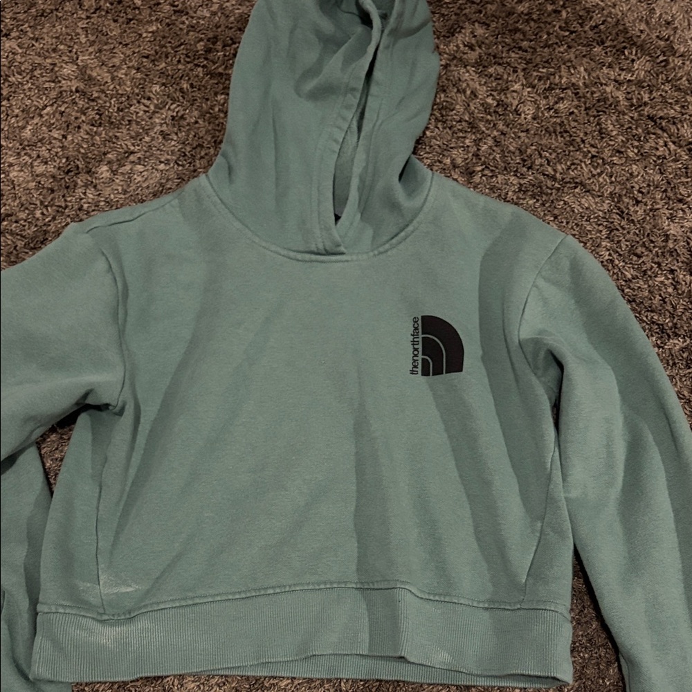 The North Face Teal Hoodie with Logo